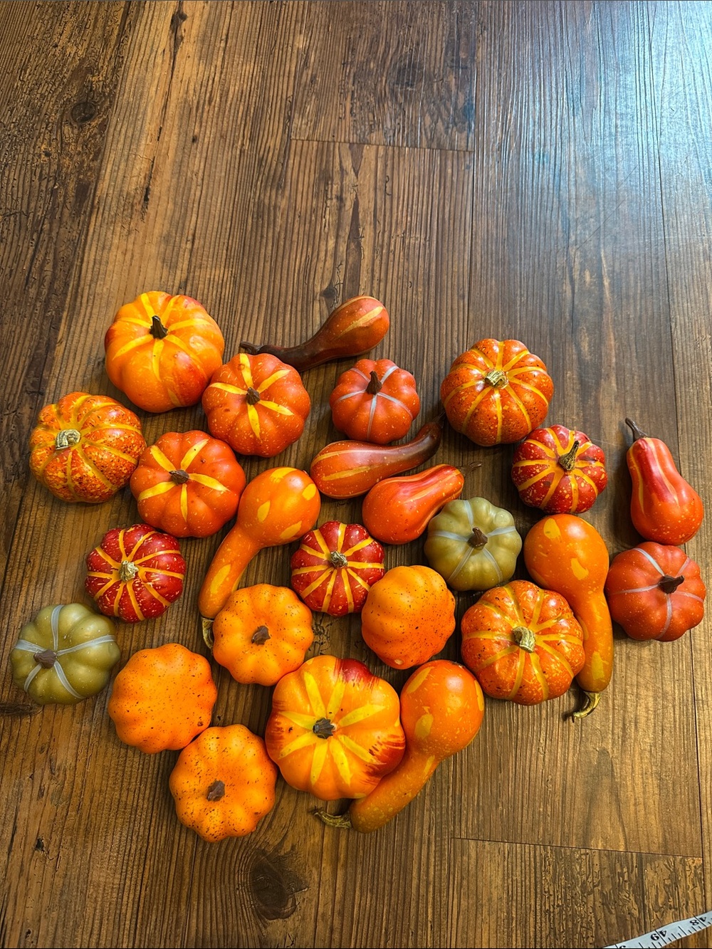 Decorative Assorted Mini Pumpkins and Gourds - Orange/Green